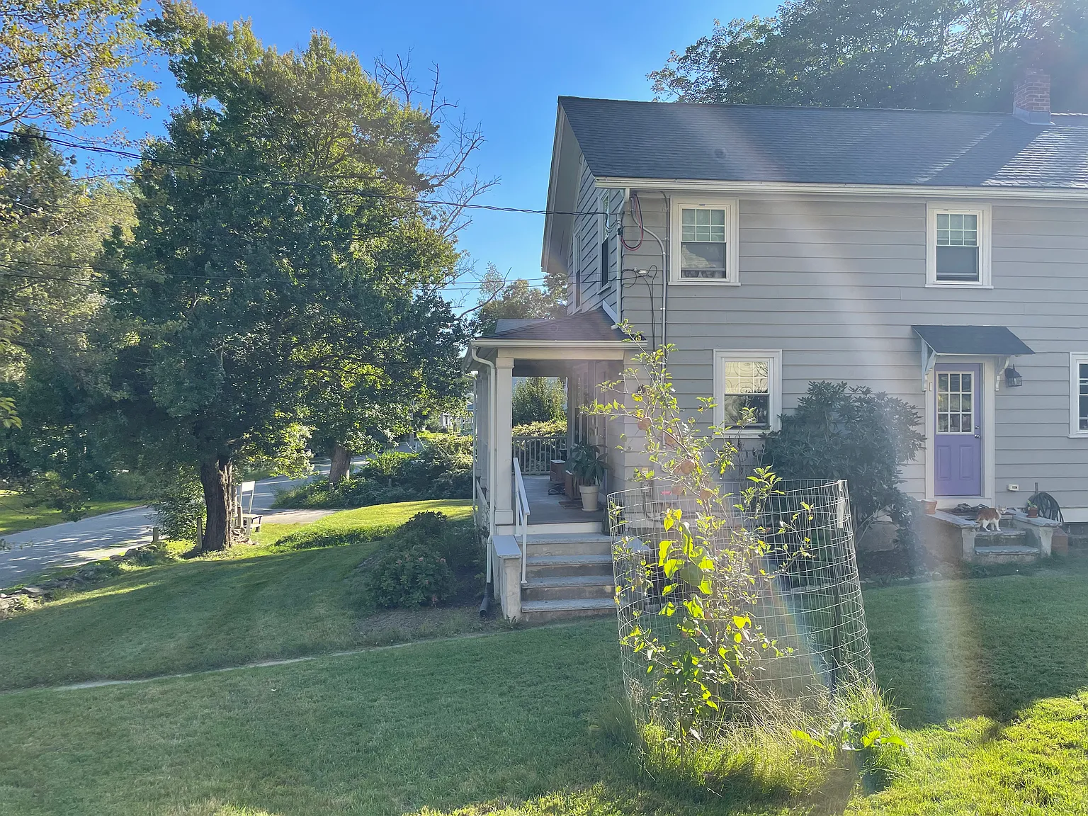 3 bed, 1.5 bath, 1600 sqft, $3,250 — Photo 3
