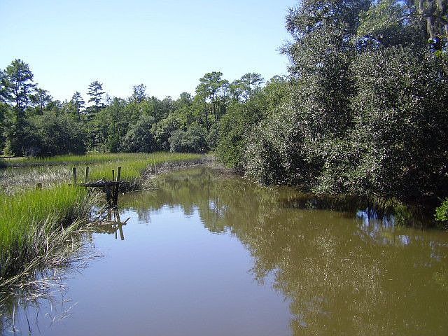 Creek View from Dock