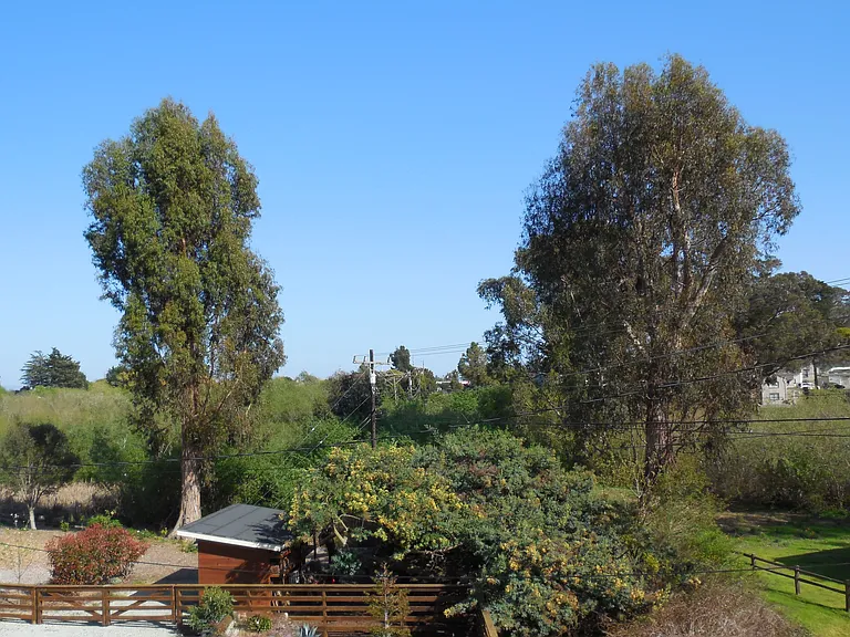 2431 Richmond Dr — Photo 8