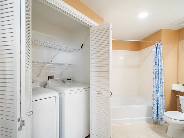 49002 Cinnamon Fern Cmn #402 — Photo 16