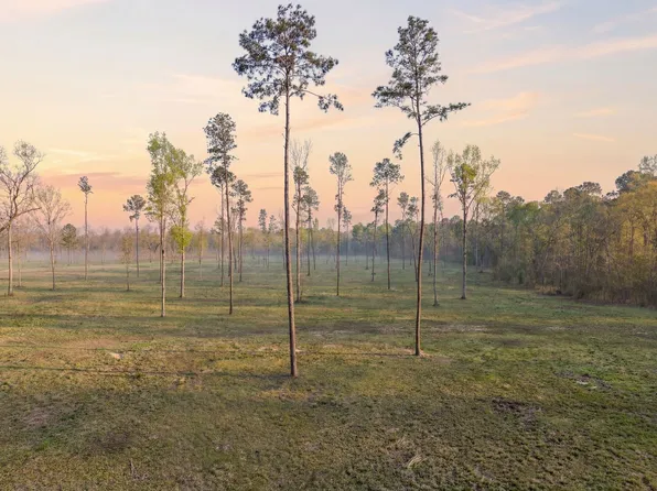 LOT 4 Johnson Dr, Livingston, TX 77351