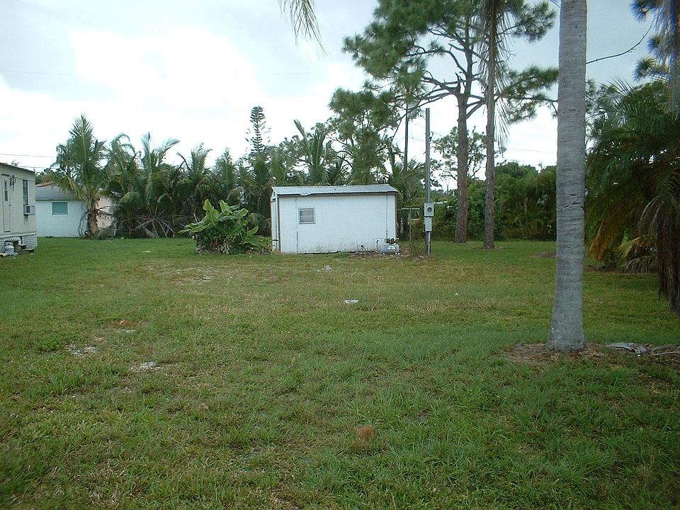 North View/Shed