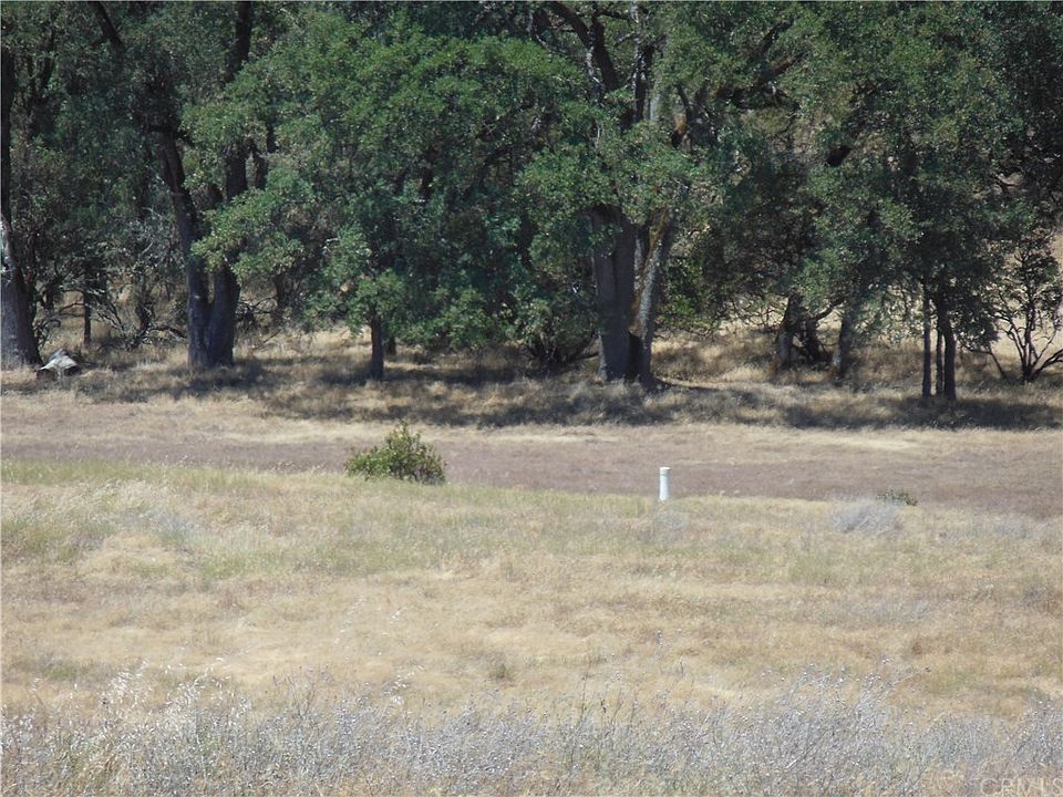 1st image of 8800 Wight Way