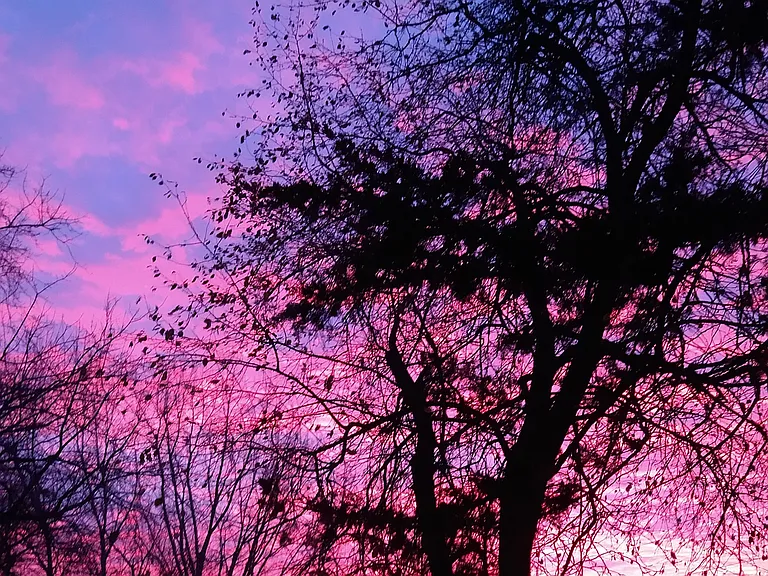 Another beautiful sunset