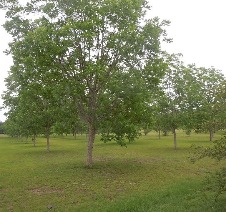 1st image of 8957 E SNELLGROVE Avenue