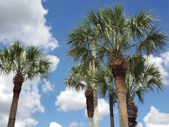 5700 NW 28th St, Lauderhill, FL 33313