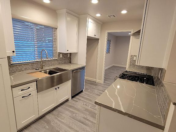 Stainless farmer's sink and dishwasher with recessed lighting