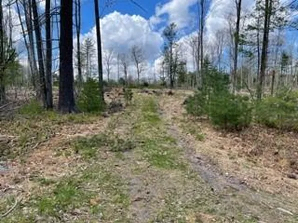 Lots#8&9 Mahls Pond Road, Narrowsburg, NY 12764