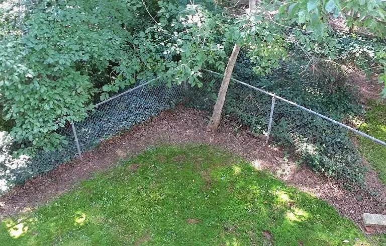 Fenced-in dog run