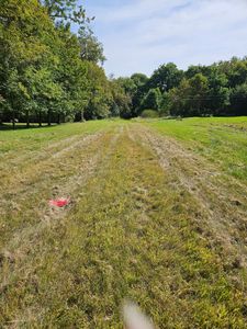 266 S Piety St, Ellsworth, WI, 54011