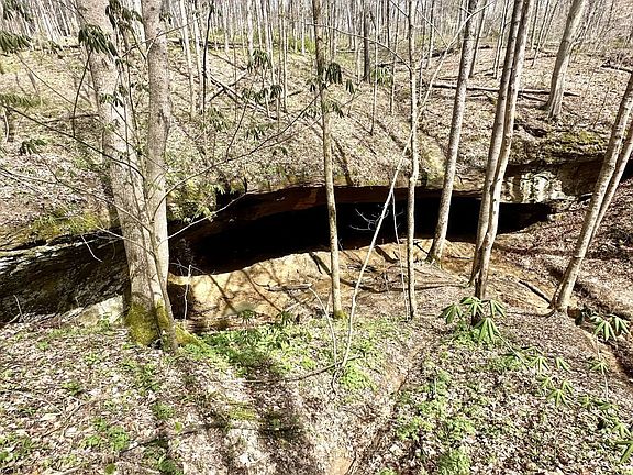 5th image of Little Kyger Rd