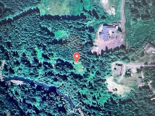 21290 Torkelson Cir, Chugiak, AK 99567