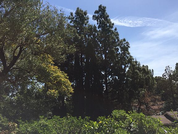 View from the backyard