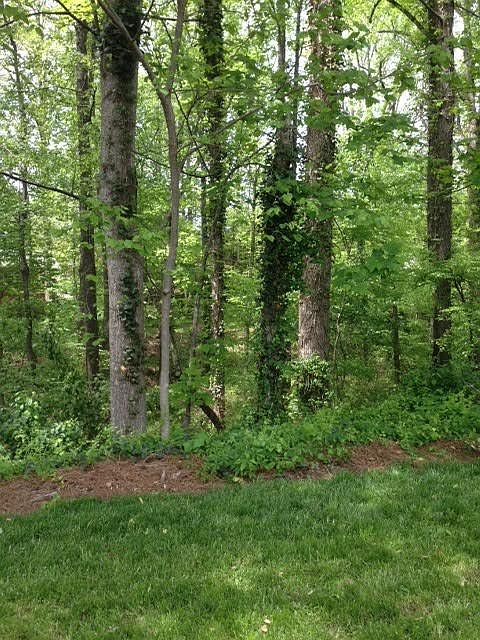 2nd image of Birchwood Drive