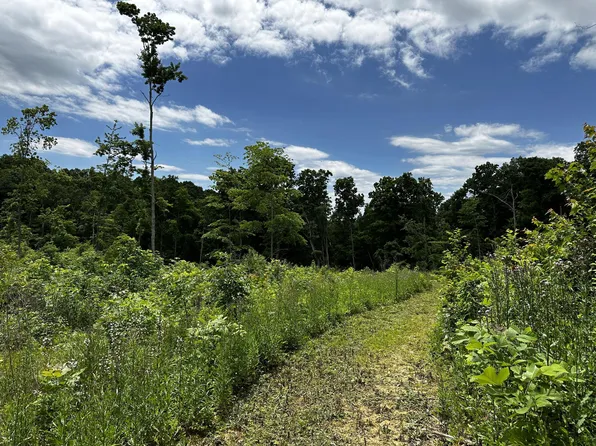 34659 Huston Rd Tract 15, Wilkesville, OH 45695