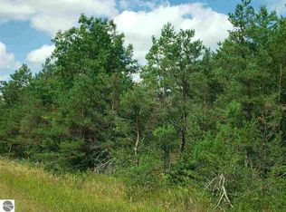 0 W Rhoby Rd, Manton, MI 49663