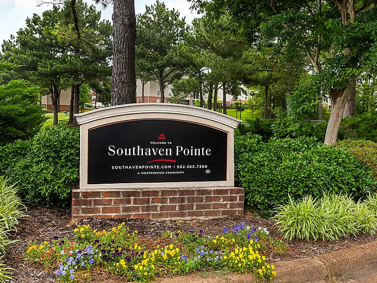 Southaven Pointe Apartments — Photo 22