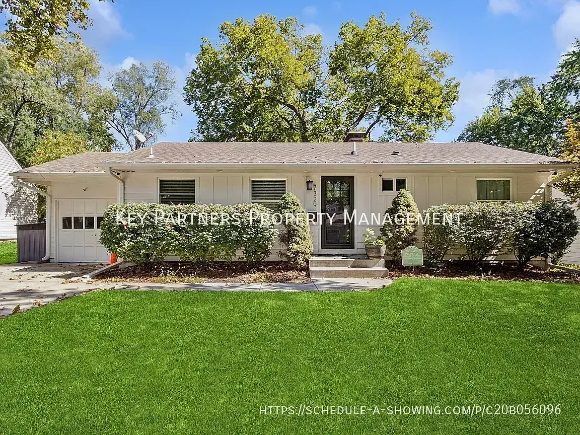 7329 Ash - Stunning! — Photo 2
