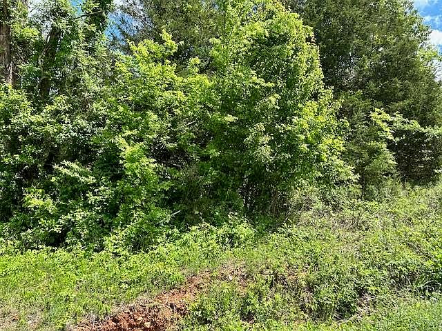 1st image of 101 Isabella Lane