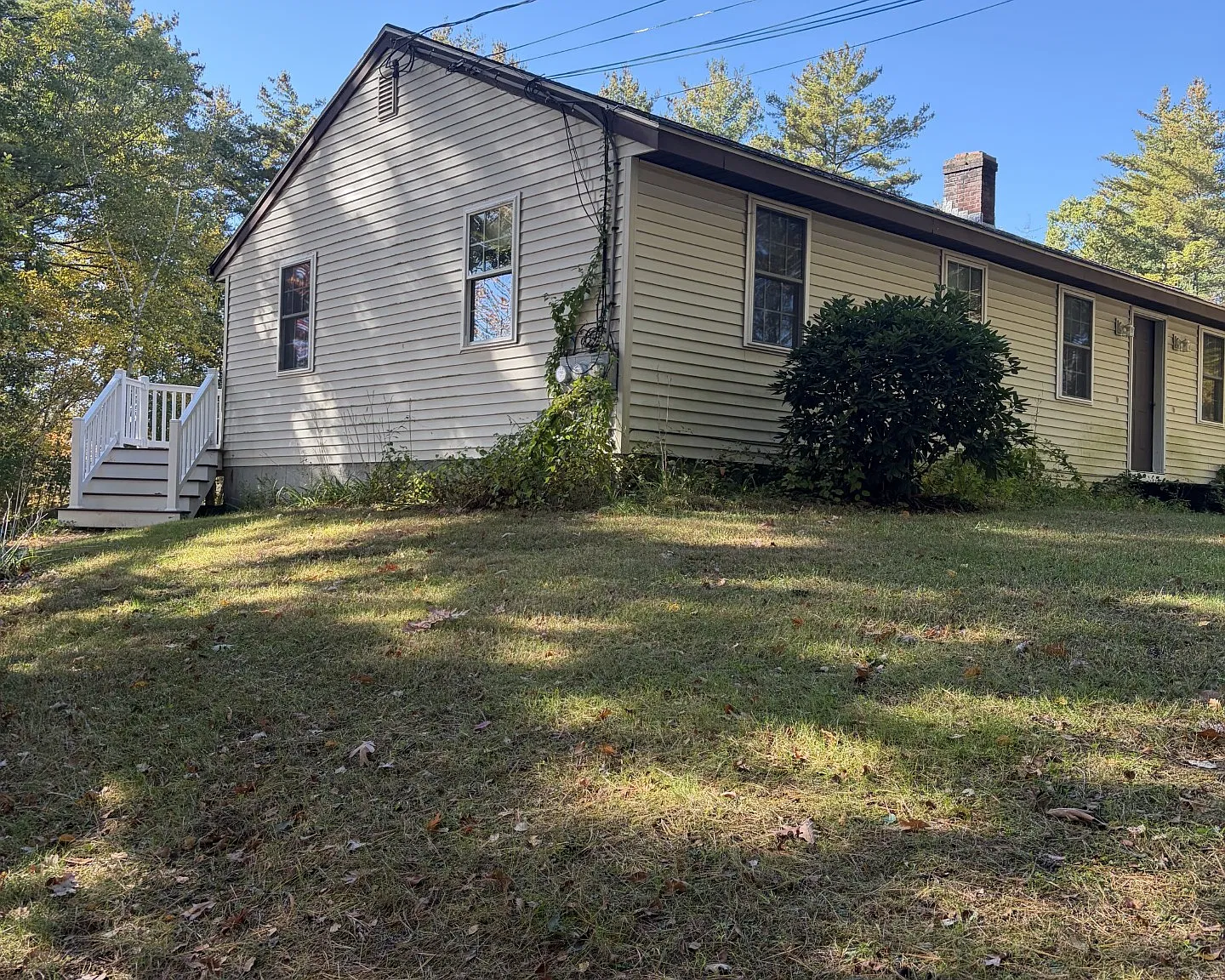 2 bed, 800 sqft, $1,700 — Photo 1