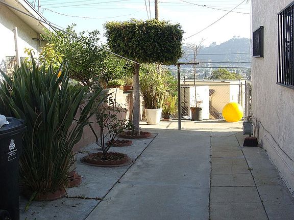 Side Yard