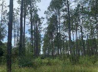 Pony Pond Rd LOT 68, Dade City, FL 33523
