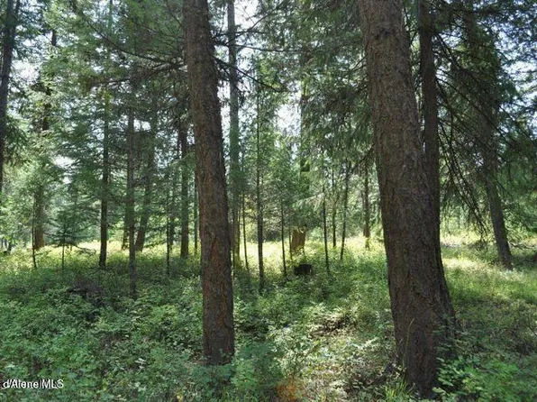 39 Forest Ridge Rd, Blanchard, ID 83804