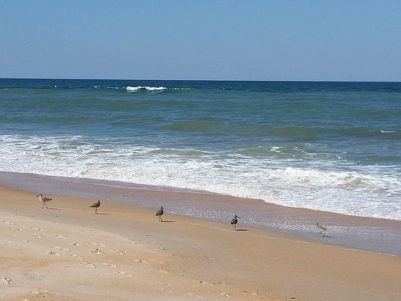 Friends on the Beach