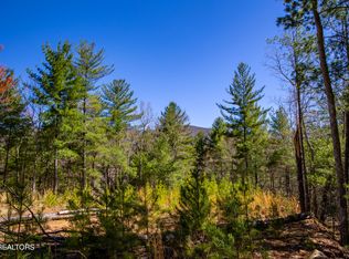 2.42 Smithfield Rd, Tellico Plains, TN 37385