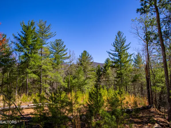 2.42 Smithfield Rd, Tellico Plains, TN 37385