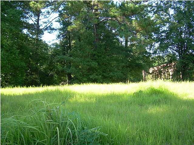 2nd image of 3200 Executive Park Cir