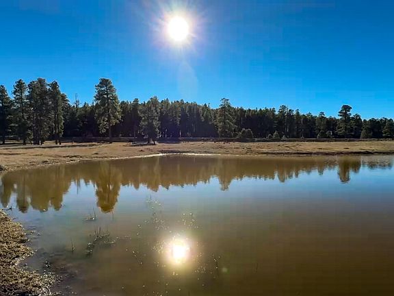 4th image of 39291 Lake Mary Road