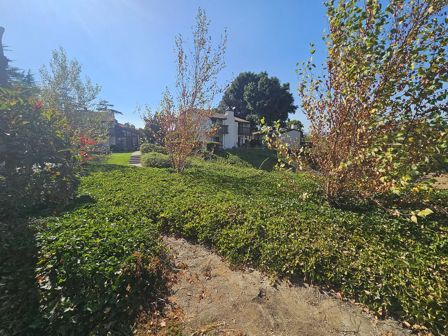 2 bed, 2.5 bath, 1387 sqft, $2,650 — Photo 3