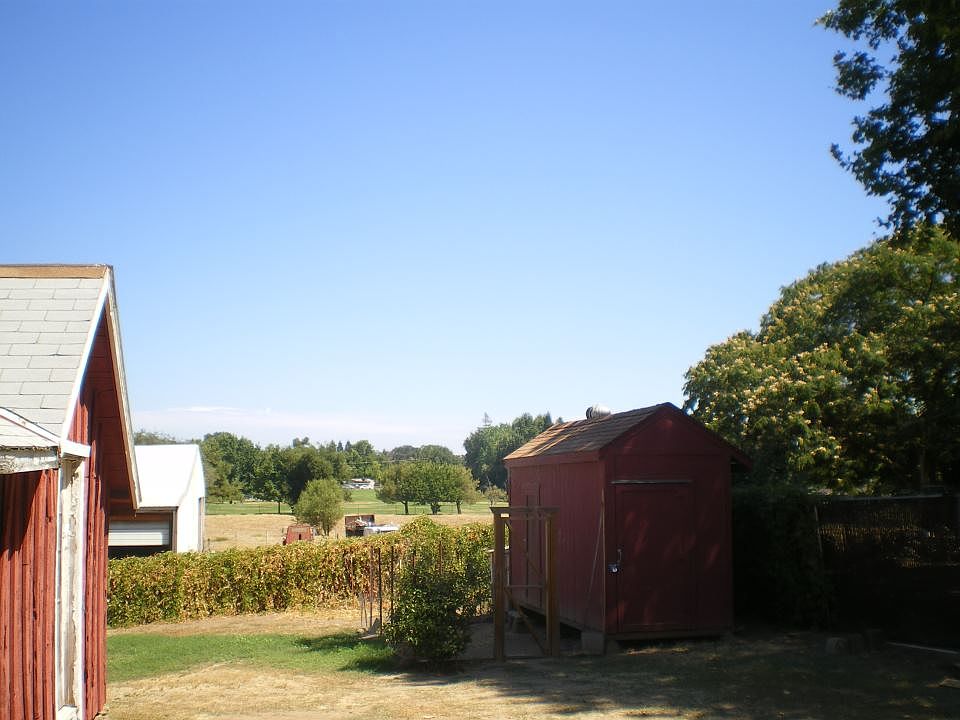 Chicken Coup