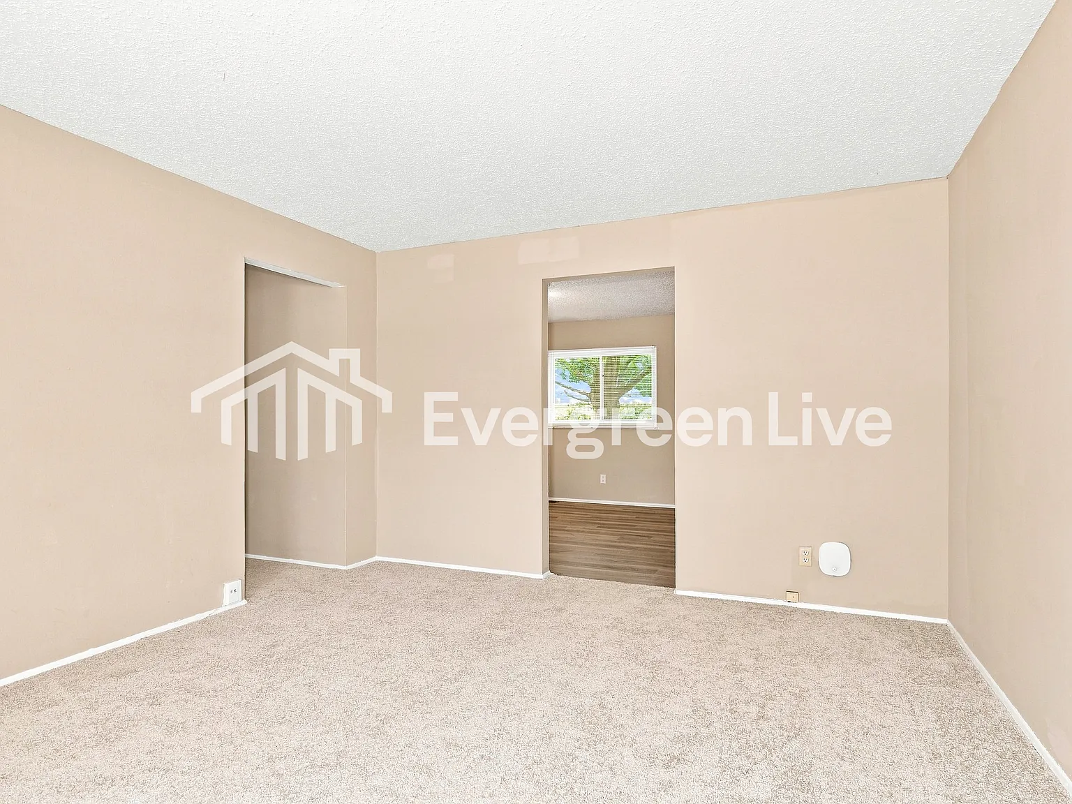 3 bed, 1.0 bath, 1015 sqft, $1,445 — Photo 3