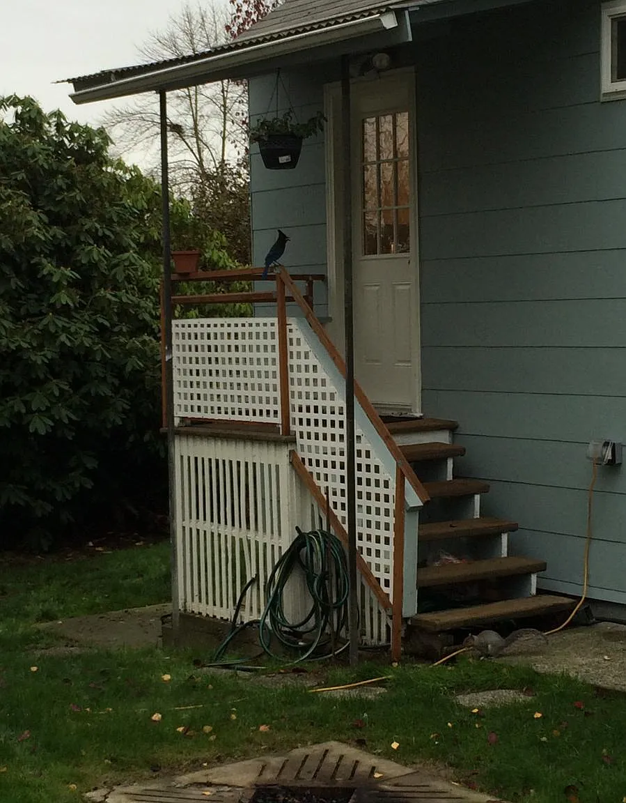 1730 NE 125th Street — Photo 3