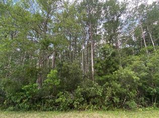 Moorgate St LOT 58, Orlando, FL 32833