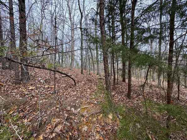 44 Zuni Way, Del Rio, TN 37727