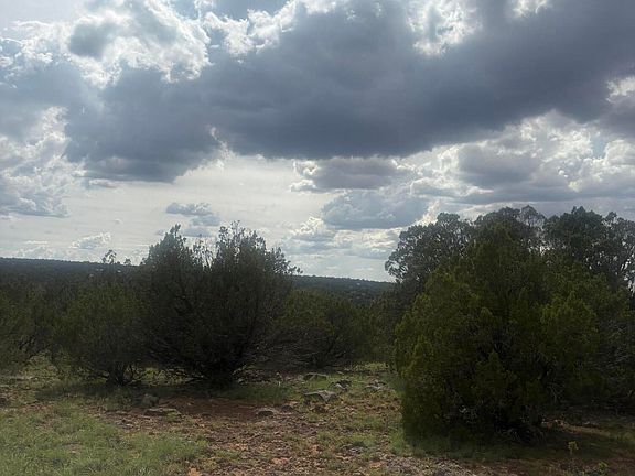 4th image of Rough Rd N #8388