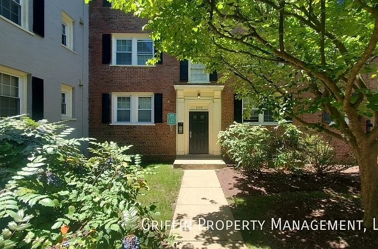 3709 Alabama Ave SE #301 — Photo 7