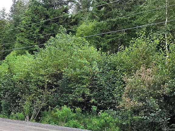 4th image of 341 Fundy Dr