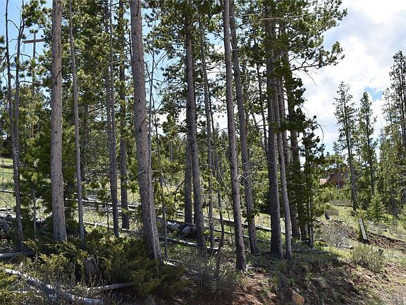 4th image of 16 Mule Deer Ln