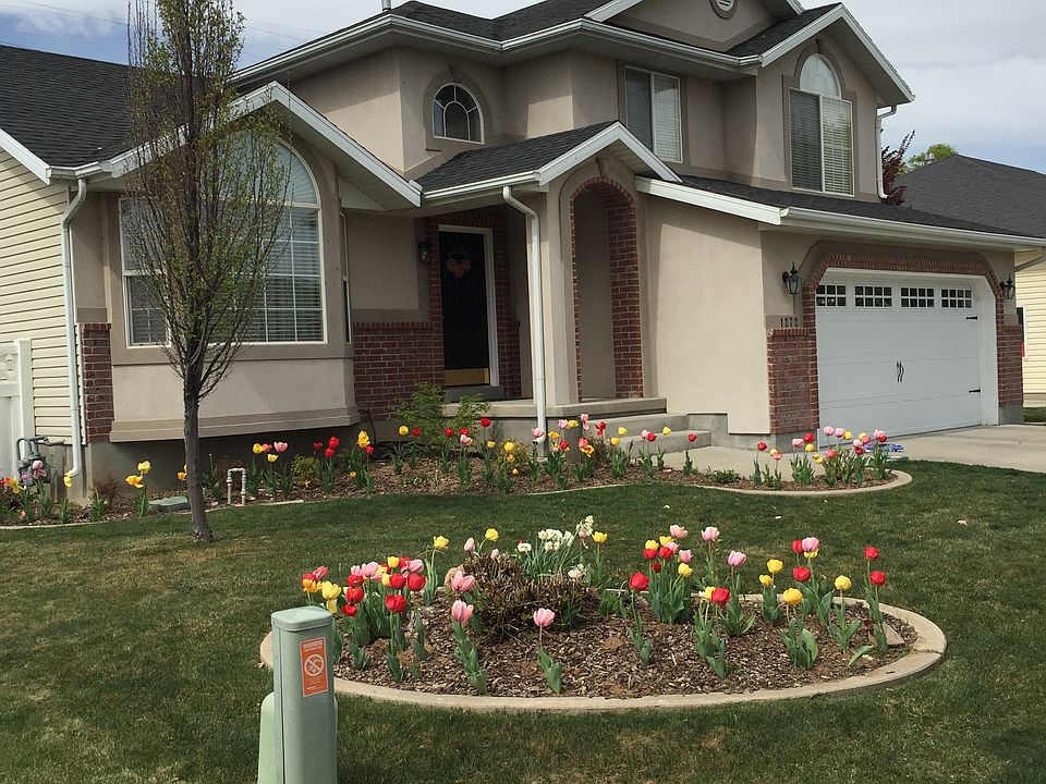 Hundred of tulips in spring