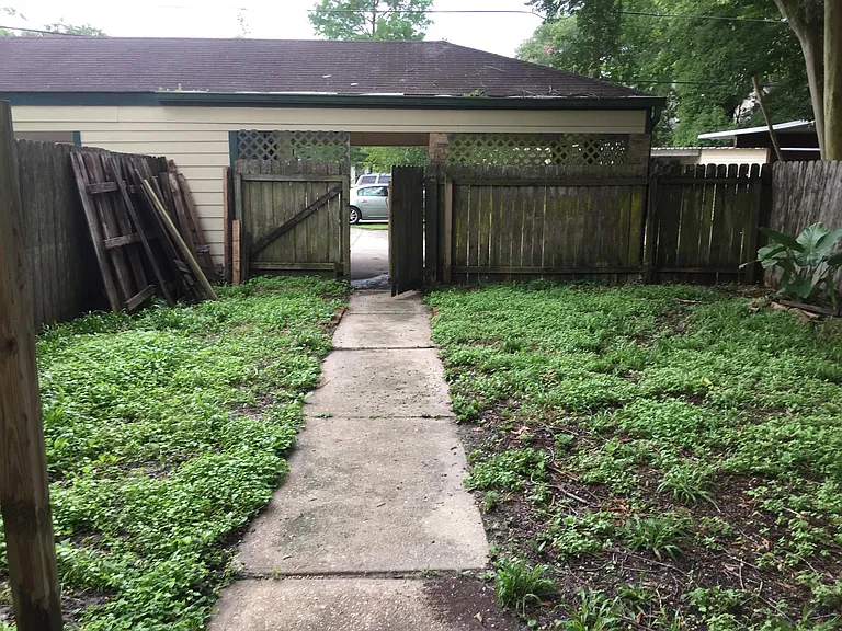 Backyard