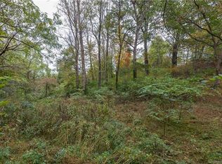 26 4th St, Asheville, NC 28803