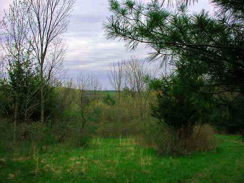 2nd image of 0 COUNTY RT 7
