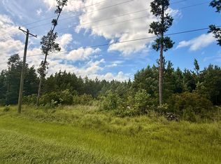 5861 County Road 386 N, Wewahitchka, FL 32465