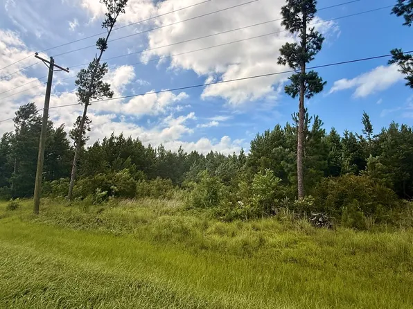 5861 County Road 386 N, Wewahitchka, FL 32465