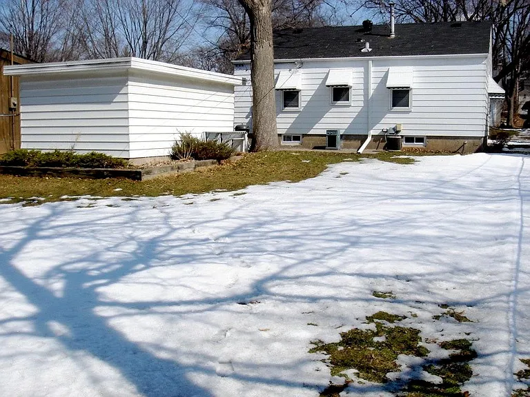 back yard