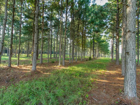 0 County Road 48 Unit 1, Jemison, AL 35085